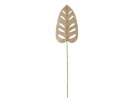 Rama Natural Folha 43 X 1 X 200 Cm