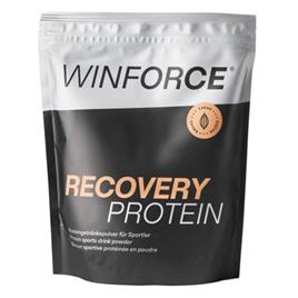 Winforce Recovery Protein 800g Cacao Bag Colorido