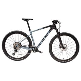 Olmo Bignone 29´´ Xt 2024 Mtb Bike Prateado 48