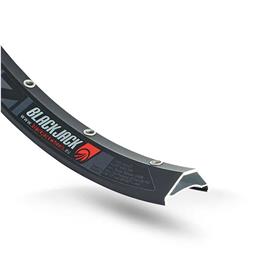 Blackjack Mtb Tubeless 27 Mm Rim Prateado 29´´ 32H