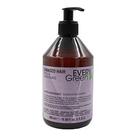 Champô Everygreen Damage Hair Dikson Muster - 500 ml