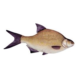 Energoteam Bream 74016473 Pillow Dourado