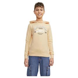 Jack & Jones Logo 2 Col 24 Hoodie Laranja 12 Years Rapaz