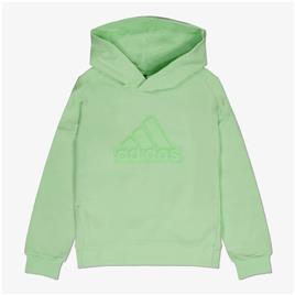 Adidas Future Icons Logo Hoodie Verde 13-14 Years Rapaz