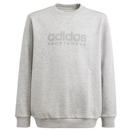 Adidas All Szn Graphic Sweatshirt Cinzento 11-12 Years Rapaz