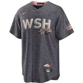 Fanatics Washington Nationals City Connect Short Sleeve T-shirt Cinzento S Homem