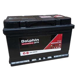 Dolphin Pro 70a Battery