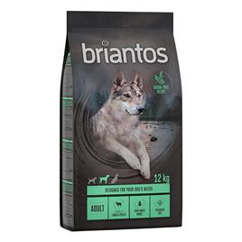 Briantos Adult cordeiro e batata - SEM CEREAIS - Pack económico: 2 x 12 kg