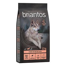 Briantos Adult Light/Sterilised Peru e batata - SEM CEREAIS - Pack económico: 2 x 12 kg