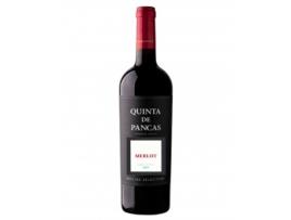 Quinta de Pancas Special Reserve Merlot Tinto