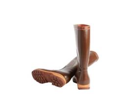 Botas de Homem AIGLE Tancar Castanho (44)