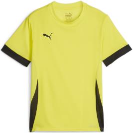 Camisa Puma teamGOAL Matchday Jersey jr