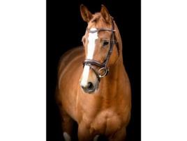 Cabeçadas de Adestramento em Couro Vegan MONTAR Normandie Eco