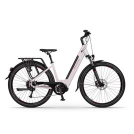 Ecobike LX300