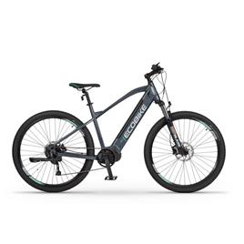 Ecobike SX300