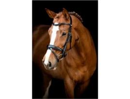 Cabeçadas de Adestramento em Couro Vegan MONTAR Normandie Eco