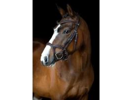 Cabeçadas de Couro Vegan MONTAR Monarch Jumping Eco