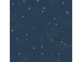 Papel de Parede Adesivo Starlight Azul Escuro com Estrelas Douradas. com Um Rolo Você Pode Colocar Papel de Parede em 2 6 M². ROOM MATES