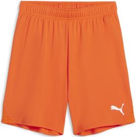 Calções Puma teamGOAL Shorts Jr