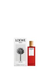 Loewe Solo Vulcan | Precio, Comprar