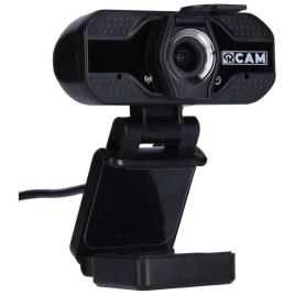 Webcam  R-Cam 100