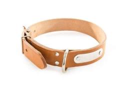Coleira para cães com Chapa de Identificação em Couro de Fluxo Completo MARTIN SELLIER Naturel 40 X L. 1.6