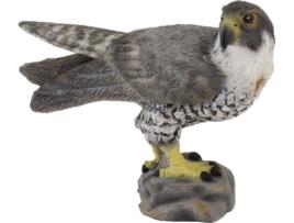 Figura  Peregrine Falcon