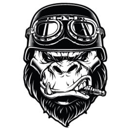 Decor resin 3d macaco biker