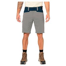 Elevenate Summit Shorts Cinzento XS Homem