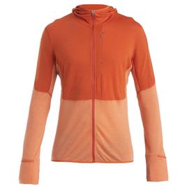 Icebreaker Merino 200 Realfleece Descender Full Zip Fleece Laranja L Homem