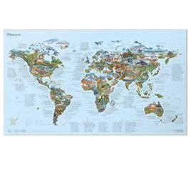 Awesome Maps Best Mountain Bike Trails In The World Vinyl Map Beige 146 x 86 cm