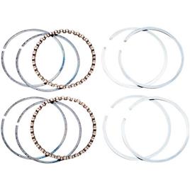 Hastings 4t Wg1254945|6482040 Piston Rings Prateado