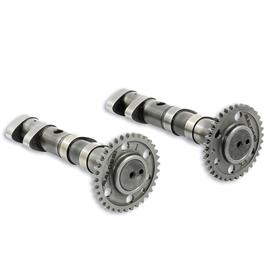 Malossi Power Cam Double Yamaha T-max Camshaft Prateado