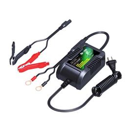 Skyrich 12v 2ah Charger Prateado