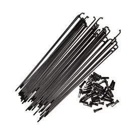 Haan Wheels Front Spokes Prateado 21´´