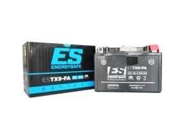 Energysafe Estx9-b4 Sealed Lead Acid-flooded Battery Prateado