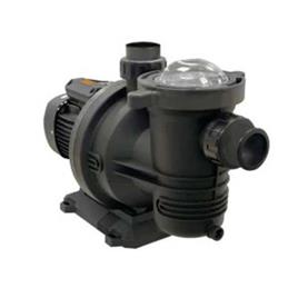 Aquasphere Fluidra 75941 150m Self-priming Pool Pump Prateado