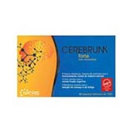 CEREBRUM FORTE AMP BEB X 30 X 30 AMP BEB FOSFATIDILCOLINA GLUTAMICO (ACIDO) METIONINA LISINA FENILALANINA TIAMINA (VITAMINA B1) RIBOFLAVINA (VITAMINA B2) PIRIDOXINA (VITAMINA B6) ZINCO (SULFATO) ASPARTICO (ACIDO) ARGININA ADN PEIXE CALCIO MAGNESIO