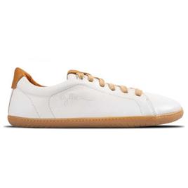 Aylla Keck Trainers Beige EU 43 Mulher