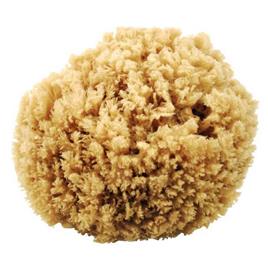 Oem Marine N46 Natural Sponge Beige