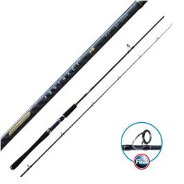 Jatsui Abstract Spinning Rod Prateado 2.48 m / 40-80 g