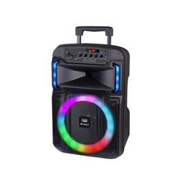 ALTAVOZ AMPLIFICADO 25W BLUETOOTH USB MICRO SD ENTRADA AUX TWS TREVI XF 370 KB