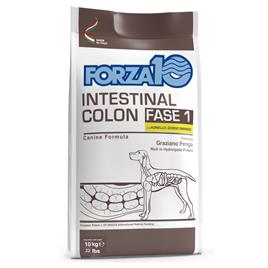 Forza 10 Intestinal Colon Phase 1 com cordeiro para cães - 10 kg