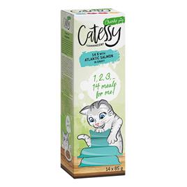 Catessy Pedaços em molho em terrinas 28 x 85 g - Pack económico - Salmão do Atlântico