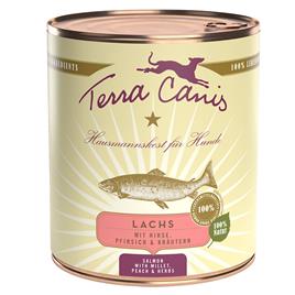 Terra Canis 6 x 800 g - Salmão com painço, pêssego e ervas aromáticas