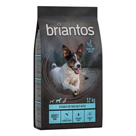 Briantos Adult Mini salmão e batata - SEM CEREAIS - 12 kg