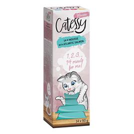 Catessy Mousse em terrinas 56 x 90 g - Megapack económico  - Salmão do Atlântico