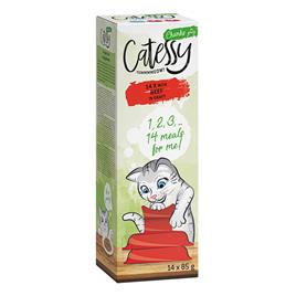 Catessy Pedaços em molho em terrinas 28 x 85 g - Pack económico - Vaca