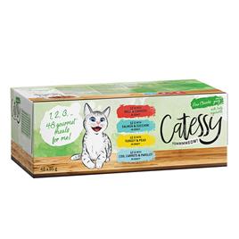 Catessy Delicacy Pedaços com legumes em molho  - Pack misto (4 variedades) - 48 x 85 g