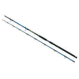 Wizard Cat Pro Power Catfish Rod  3.00 m / 600-800 g